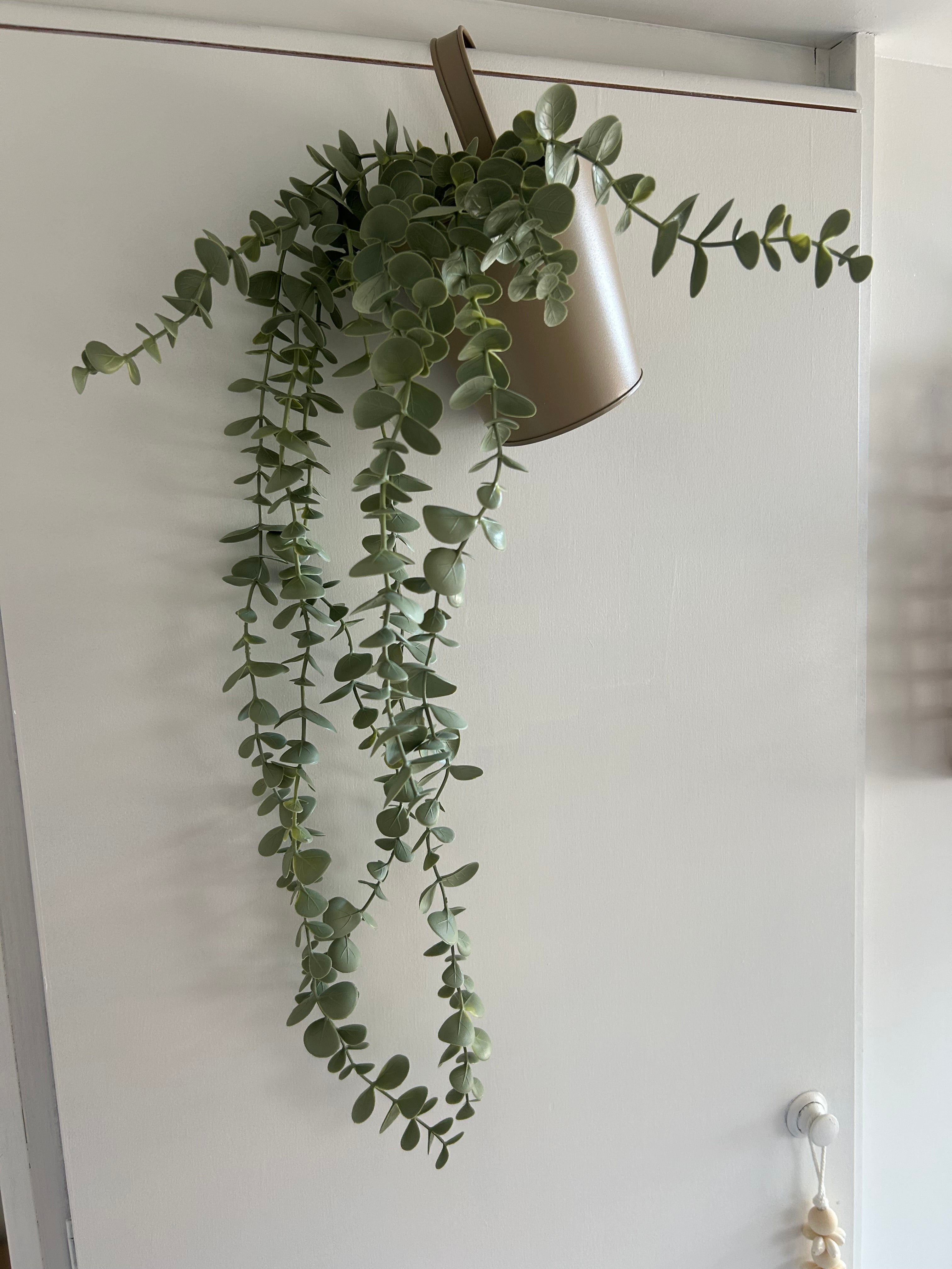 BoHo Limited Edition-Innenausstattungspaket