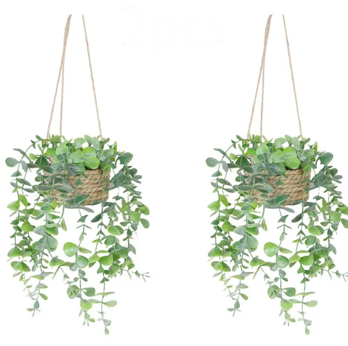 Boho-Eukalyptus-Hängepflanzenset – 2-teilig für Wohnwagen