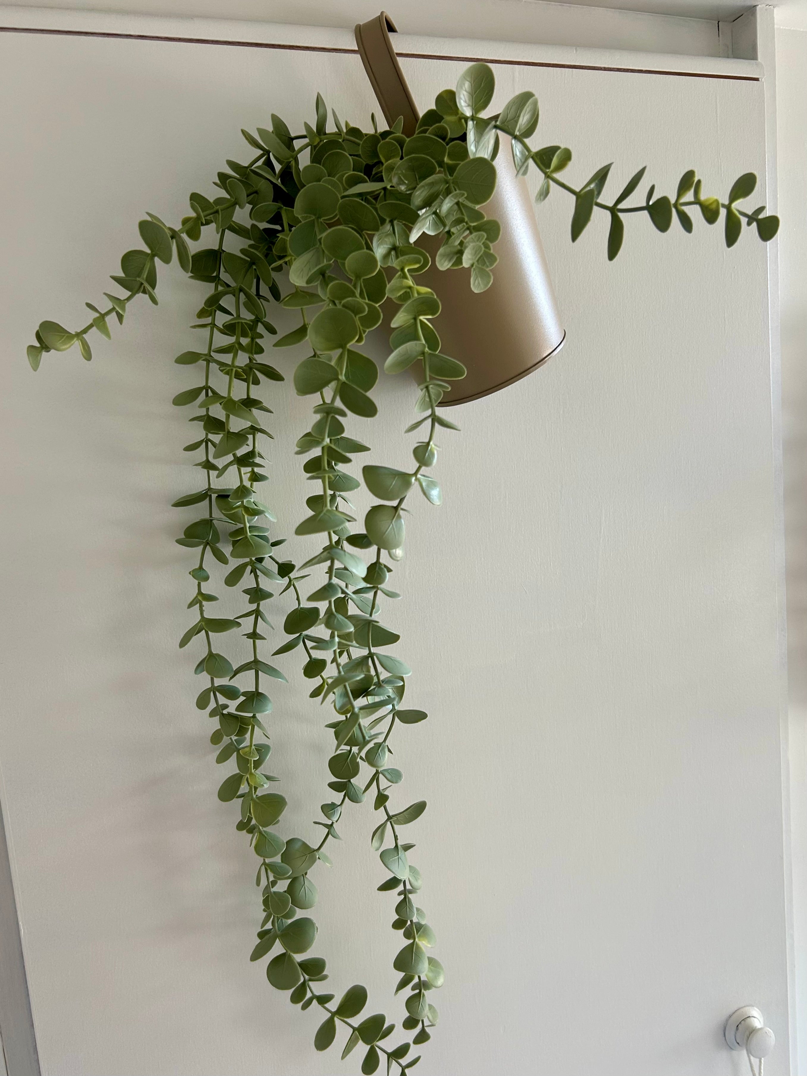 Künstlicher Eukalyptus im Metall-Hängetopf