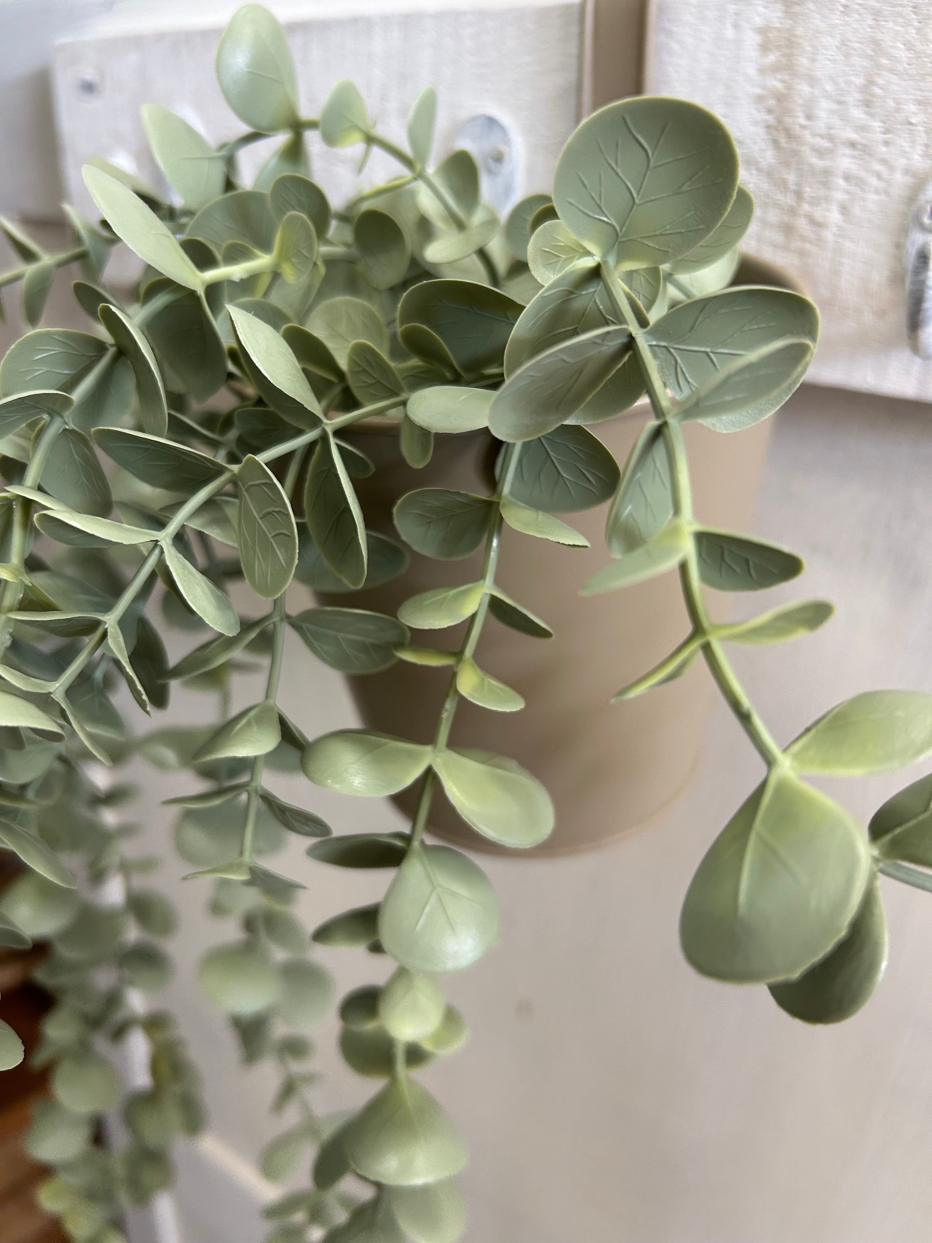 Künstlicher Eukalyptus im Metall-Hängetopf